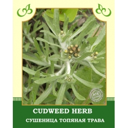 Cudweed Herb Cudweed Herb